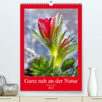 Ganz nah an der Natur (Premium, hochwertiger DIN A2 Wandkalender 2023, Kunstdruck in Hochglanz) 